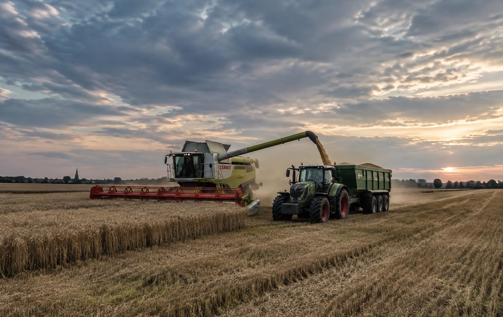Mähdrescher und Traktor mit Anhänger bei der Getreideernte